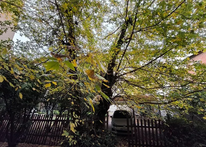 Maison De Τίρανα