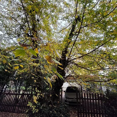 Maison De Tirana